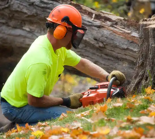 tree services Mount Kisco